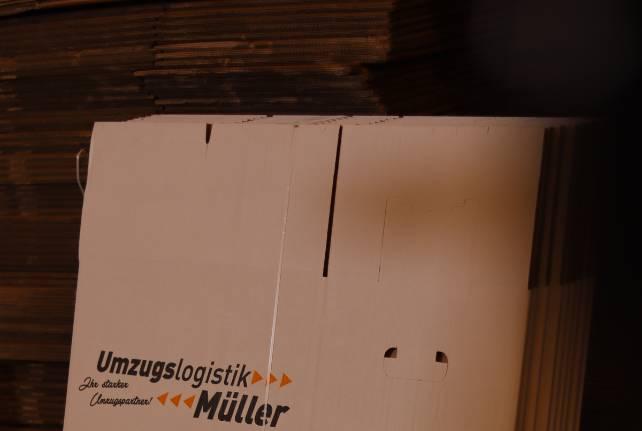 Günstiger Behördenumzug Mittweida
