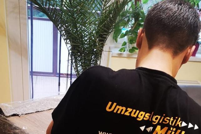 Preise für Ihren Studentenumzug in Mittweida